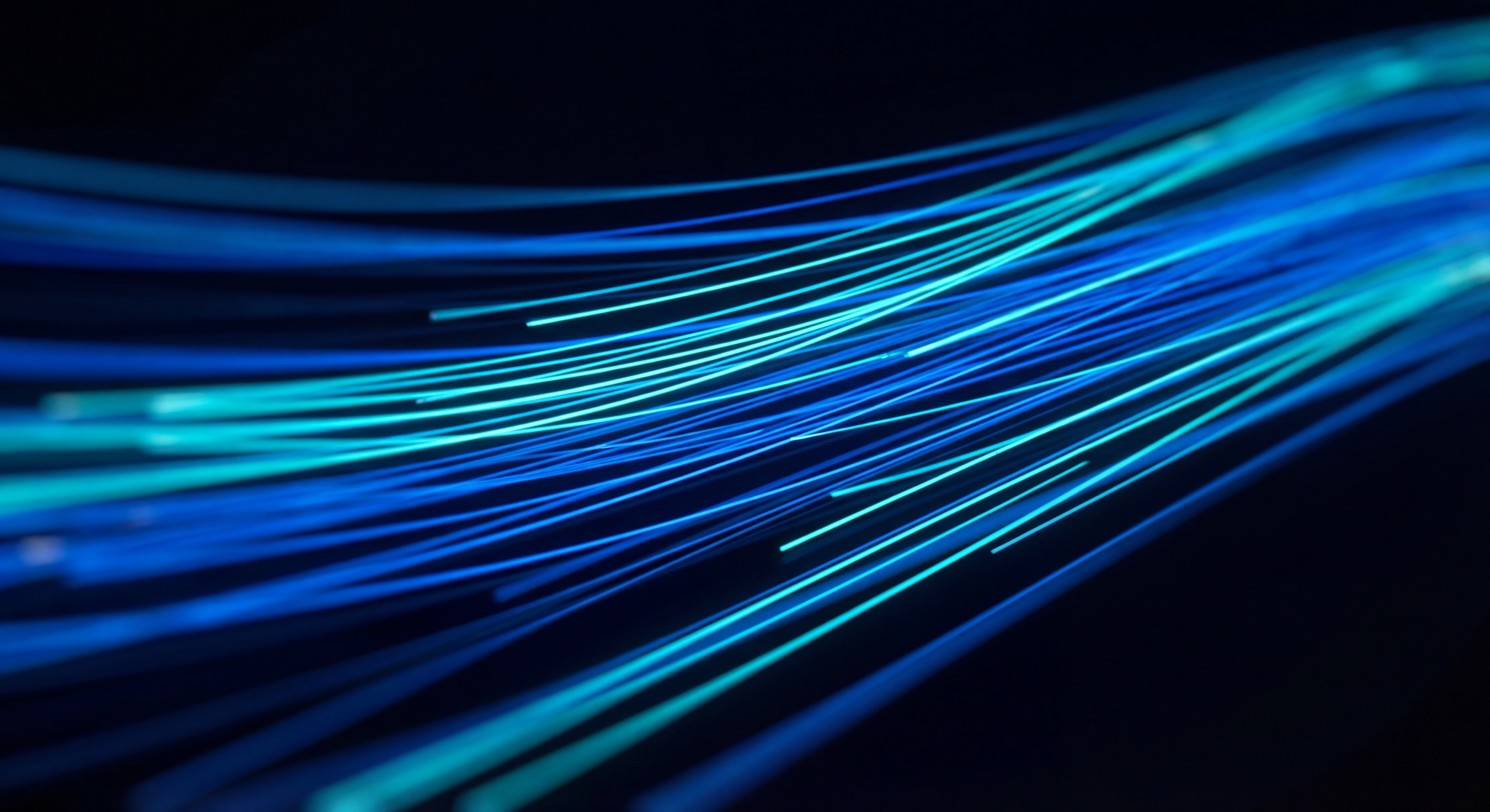 도입 프로세스 단계